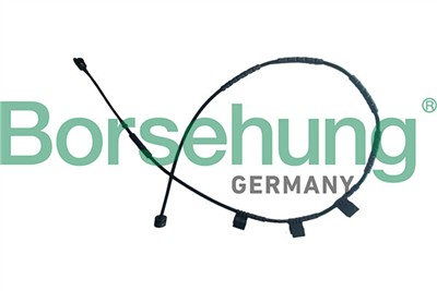 Borsehung B13166