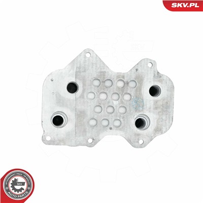 ESEN SKV 31SKV211 EAN: 5903968453435.