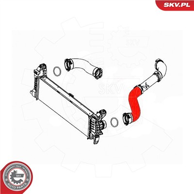 ESEN SKV 43SKV436 EAN: 5903968401597.