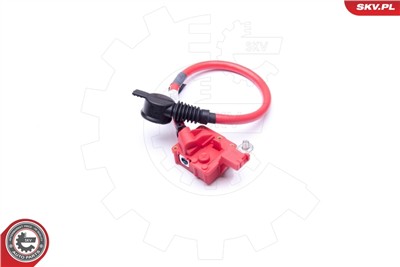 ESEN SKV 96SKV301 EAN: 5901947366424.