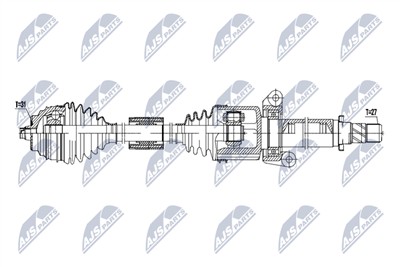 NTY NPW-BM-254 EAN: 5902048360083.