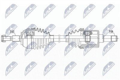 NTY NPW-FR-117 EAN: 5902048168559.