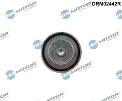 Dr.Motor Automotive DRM02442R EAN: 5904639641465.