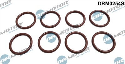 Dr.Motor Automotive DRM0254S EAN: 5902425074541.