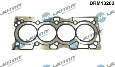 Dr.Motor Automotive DRM13202 EAN: 5904639601858.