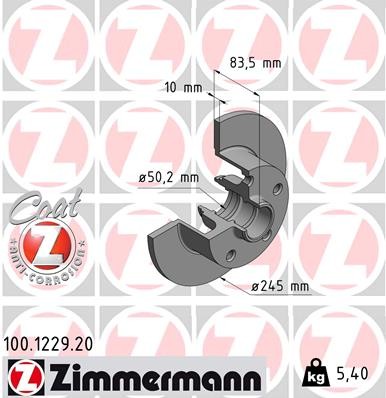 ZIMMERMANN 100.1229.20 EAN: 4250238756491.
